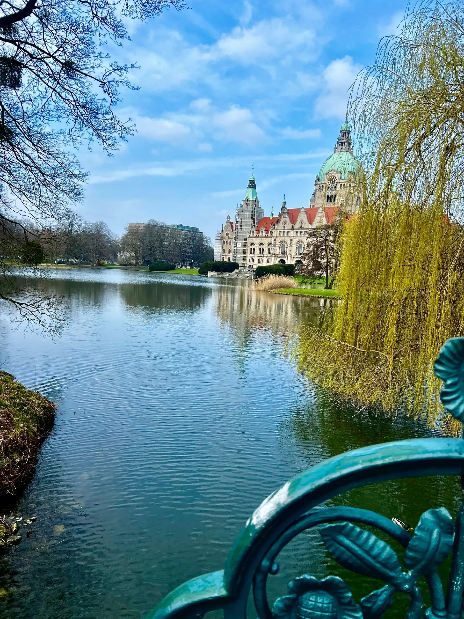 Neues Rathaus Hannover am Maschteich mit Trauerweide – Region von Immobilienmakler Nico Gutzeit