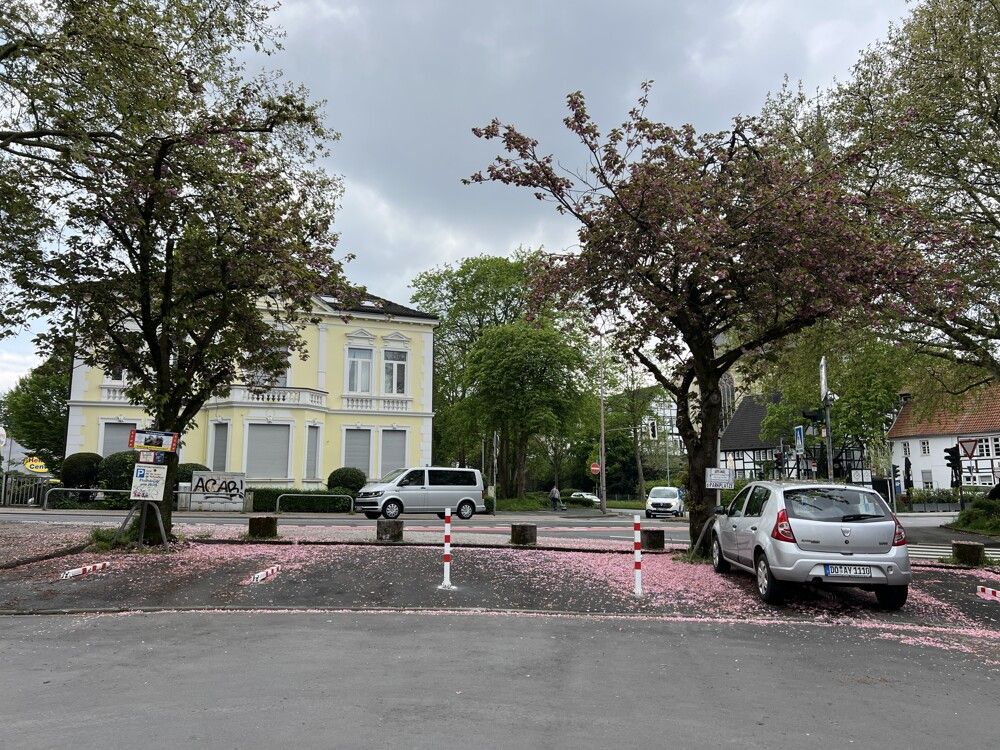 Außen_Stellplätze