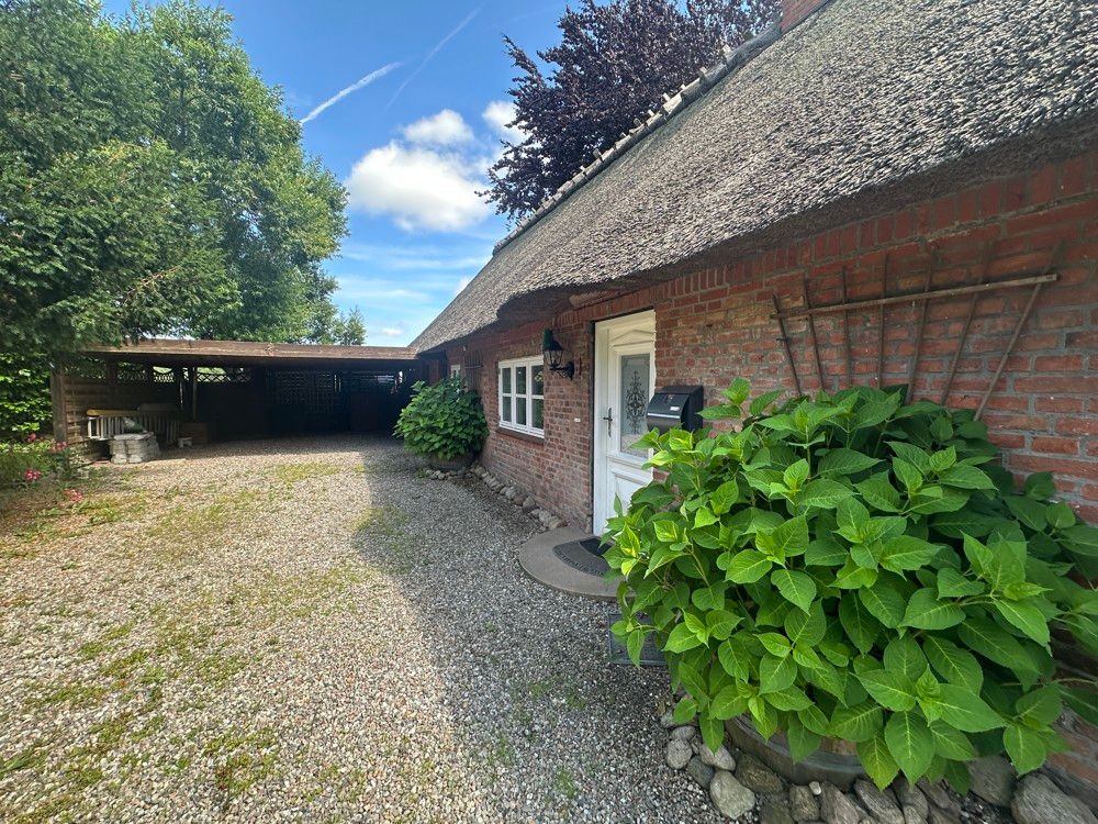 Einfahrt / Carport / Eingang