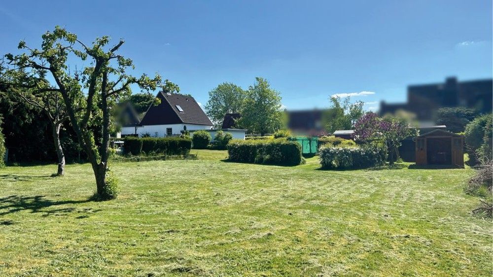 Blick in den Garten2