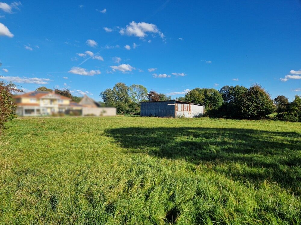 Blick von der Zufahrt